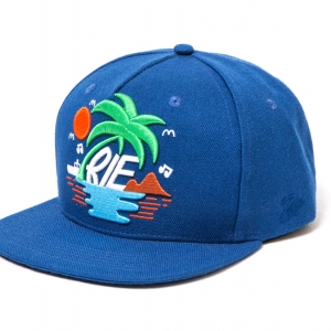 015 BLUE ISLAND CAP ¥6,500
