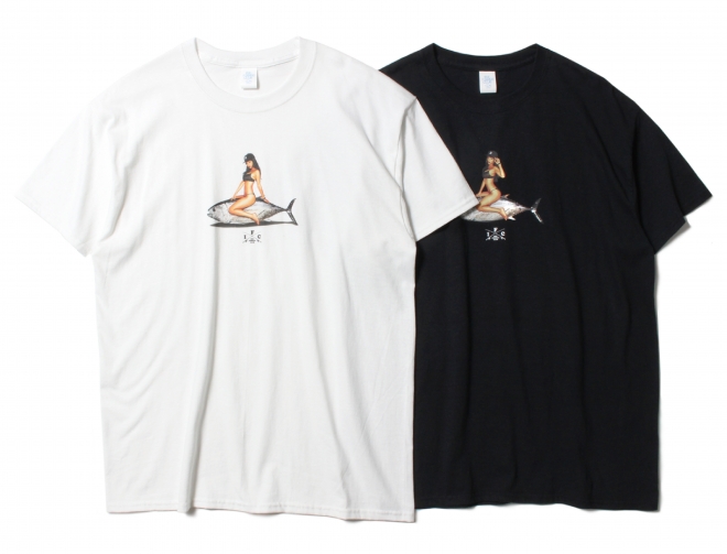 IFSS17-018